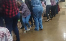 Gallery - 12