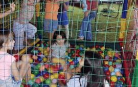 Gallery - 17