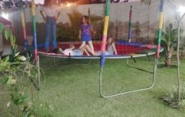 Gallery - 33