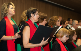 Gallery - 48