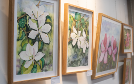Gallery - 0