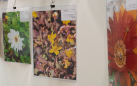 Gallery - 7