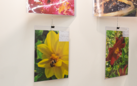 Gallery - 8
