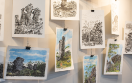 Gallery - 6