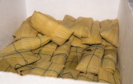 Gallery - 12