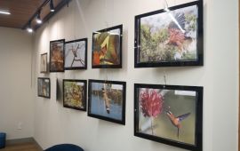 Gallery - 1