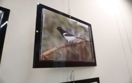 Gallery - 3