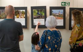 Gallery - 10