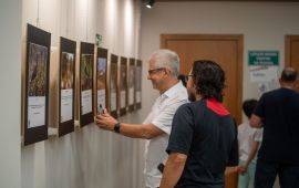 Gallery - 11