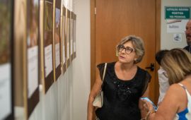 Gallery - 14