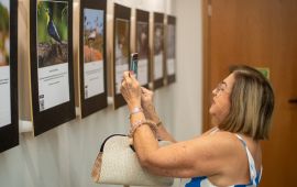 Gallery - 17
