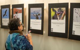 Gallery - 2