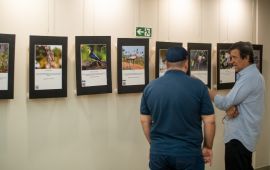Gallery - 8