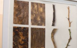 Gallery - 6