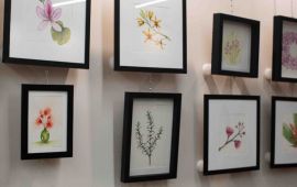 Gallery - 5
