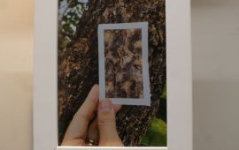 Gallery - 7