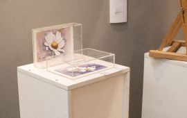 Gallery - 11