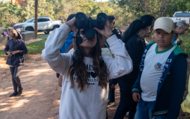 Gallery - 15