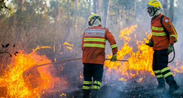 Área queimada no Brasil cai 31% em 2025; Cerrado concentra 69% do total