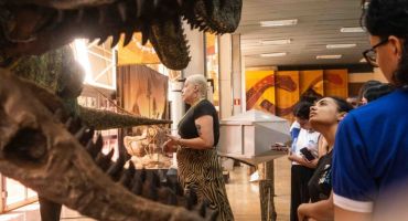 Museus de universidades federais têm visita gratuita