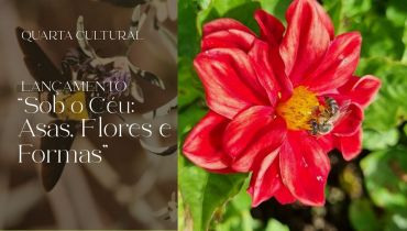 Quarta Cultural | “Sob o Céu: Asas, Flores e Formas”