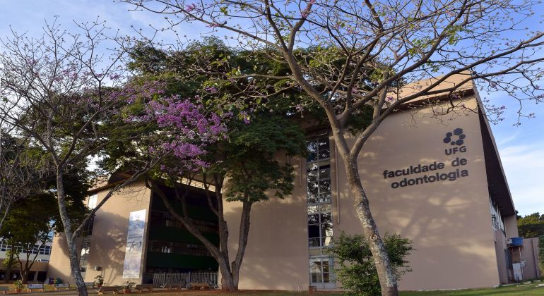 Brasil mantém referência em odontologia e vê artes virar melhor curso em ranking internacional