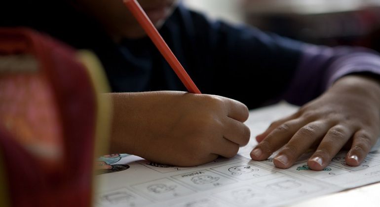 Educação: Senado aprovou novo PNE, piso do professor e expansão do ensino federal 