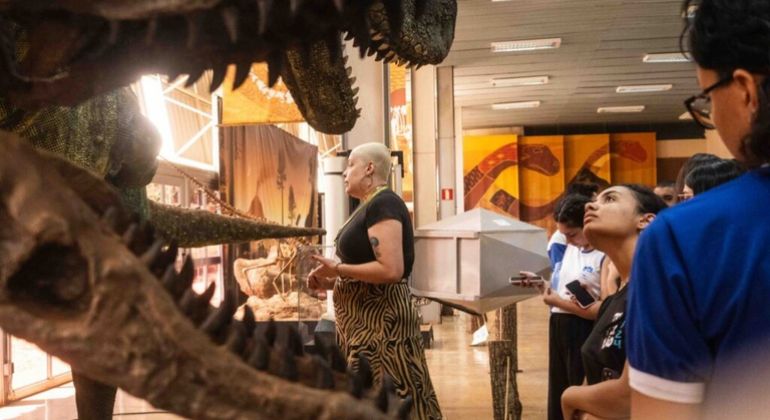 Museus de universidades federais têm visita gratuita