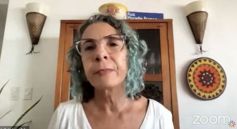 Não existe combate à desinformação sem regulação e política científica, defende secretária-geral da SBPC