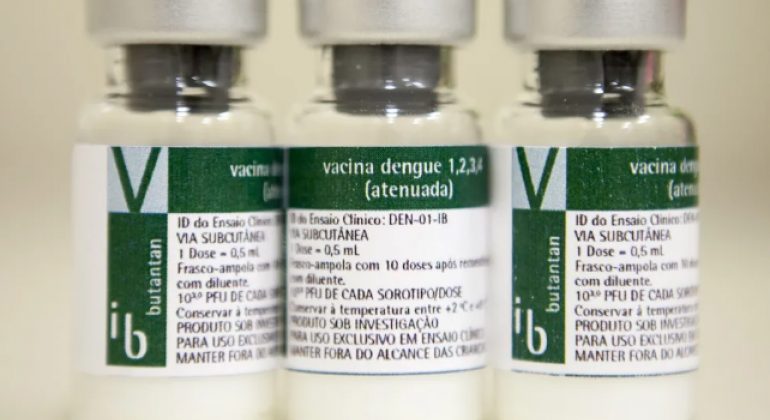 Suspensão da vacina da dengue do Butantan: quais os próximos passos após anúncio do Ministério da Saúde?